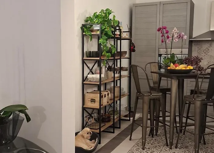 Casa Verdina, Nel Cuore Di アルゲーロ